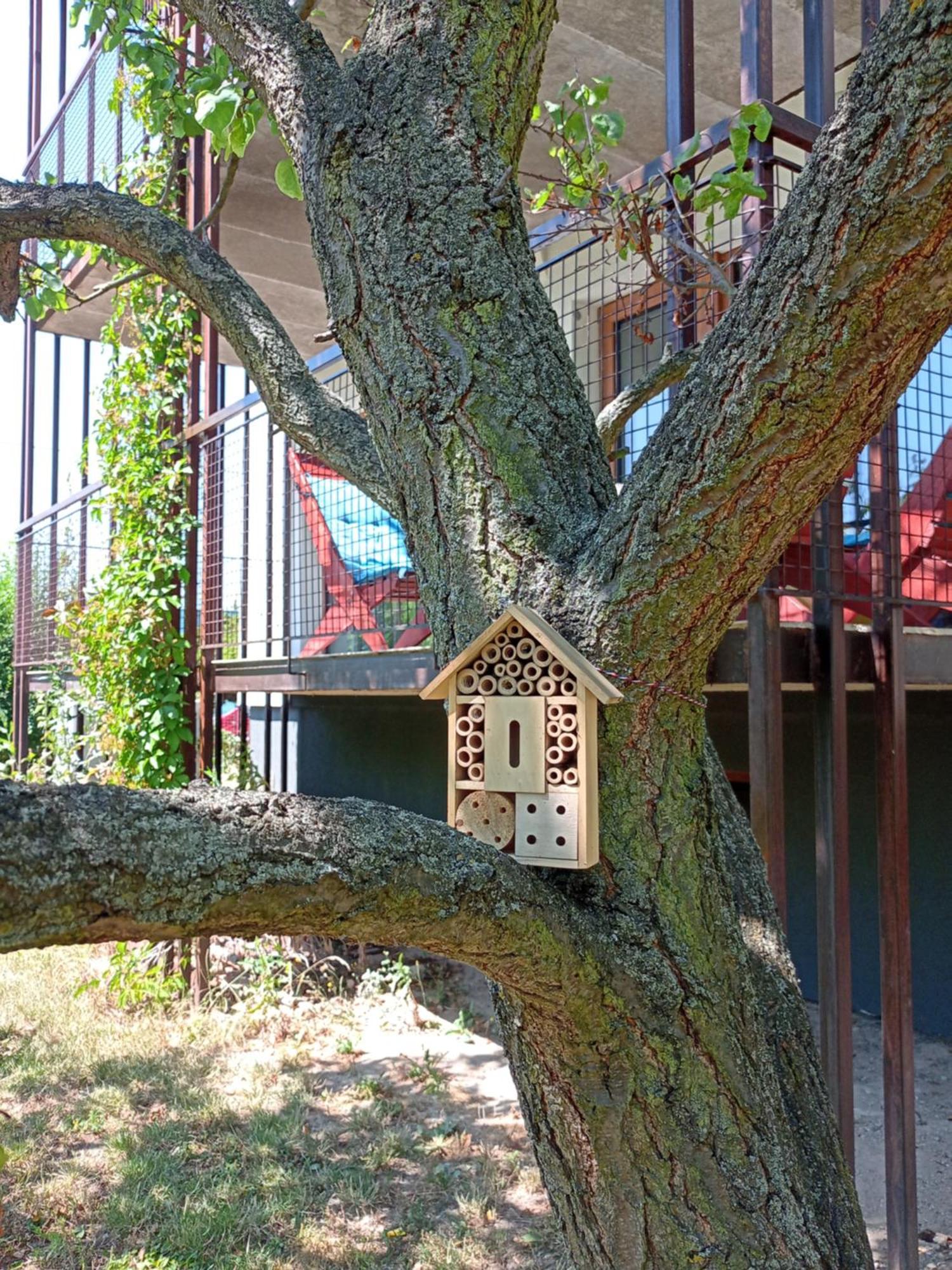 Vila Vekose - Apartman S Terasou A Zahradou Hradec Králové Dış mekan fotoğraf